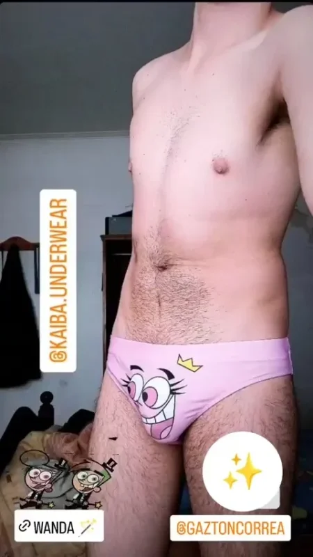 kaiba underwear padrinos magicos wanda