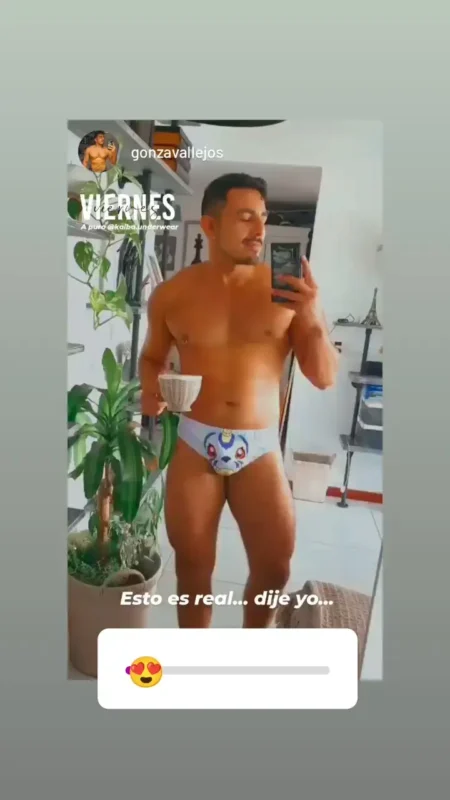slip kaiba gabumon digimon underwear