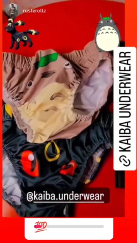 slip totoro kaiba underwear
