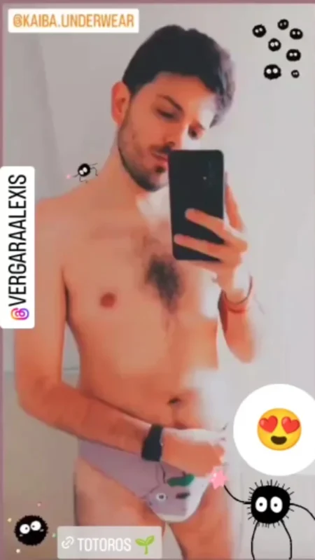 slip totoro kaiba underwear
