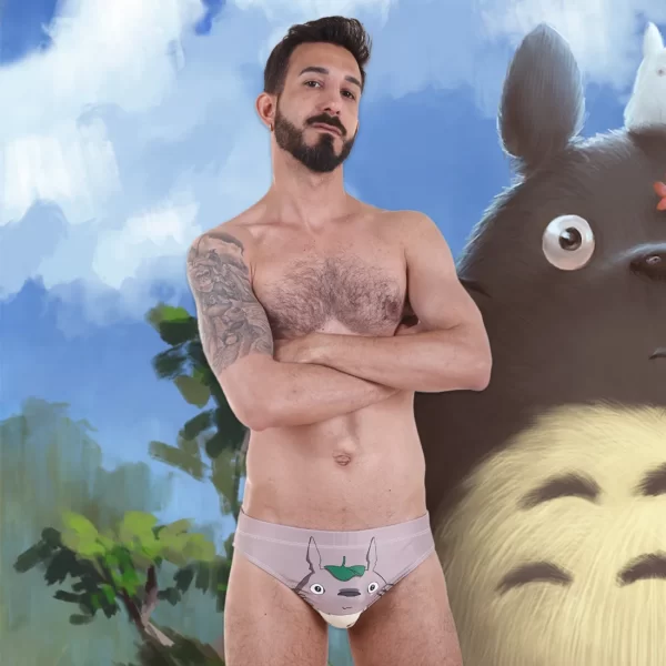 totoro slip underwear kaiba