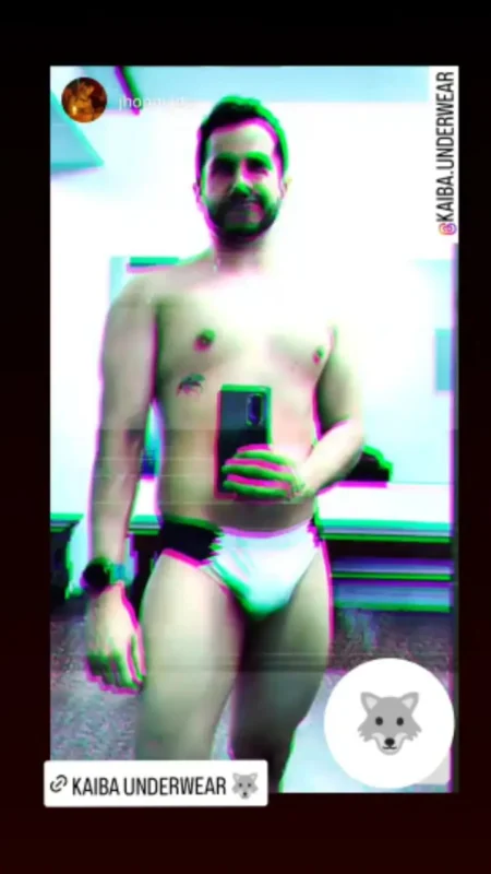 slip kaiba perro underwear