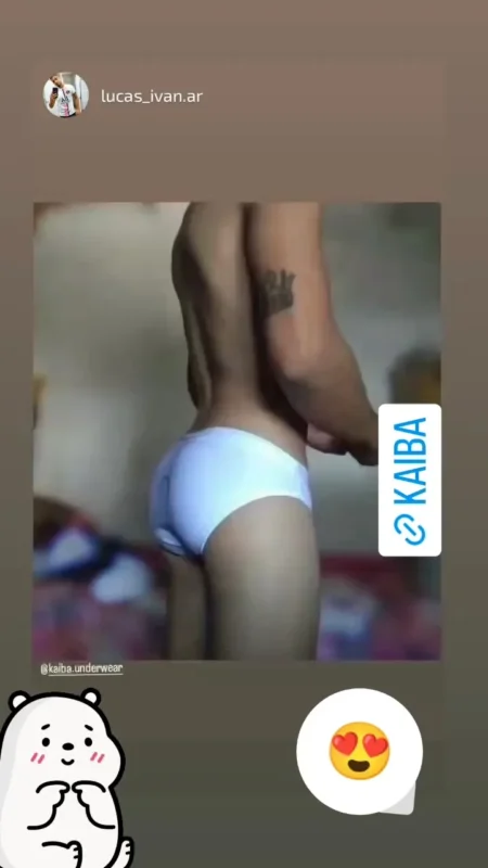 kaiba underwear polar slip