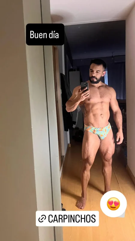 slip capibaras carpinchos buenos aires argentina underwear kaiba